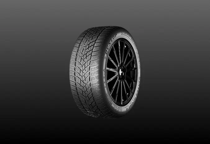 Dunlop Winter Sport 5
